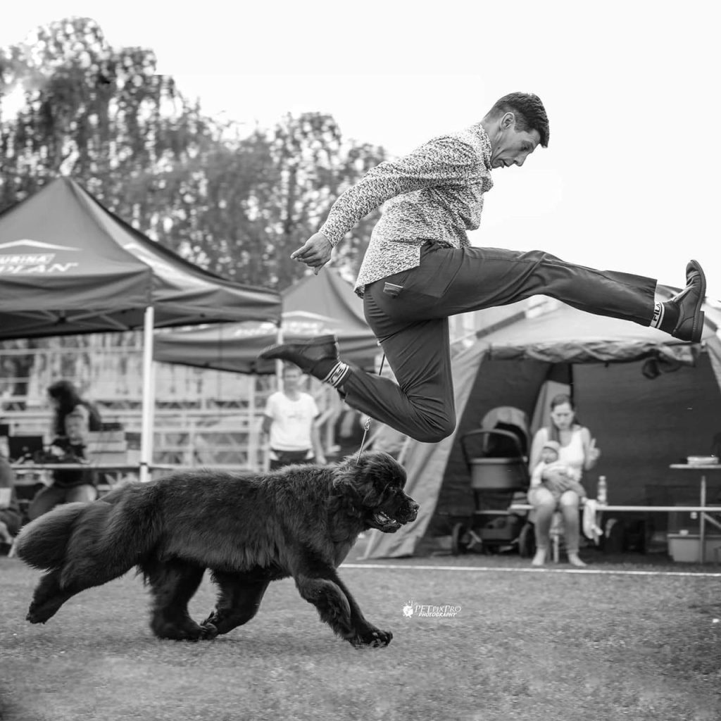 Buy4Dogs 2025 gregor fotka skok
